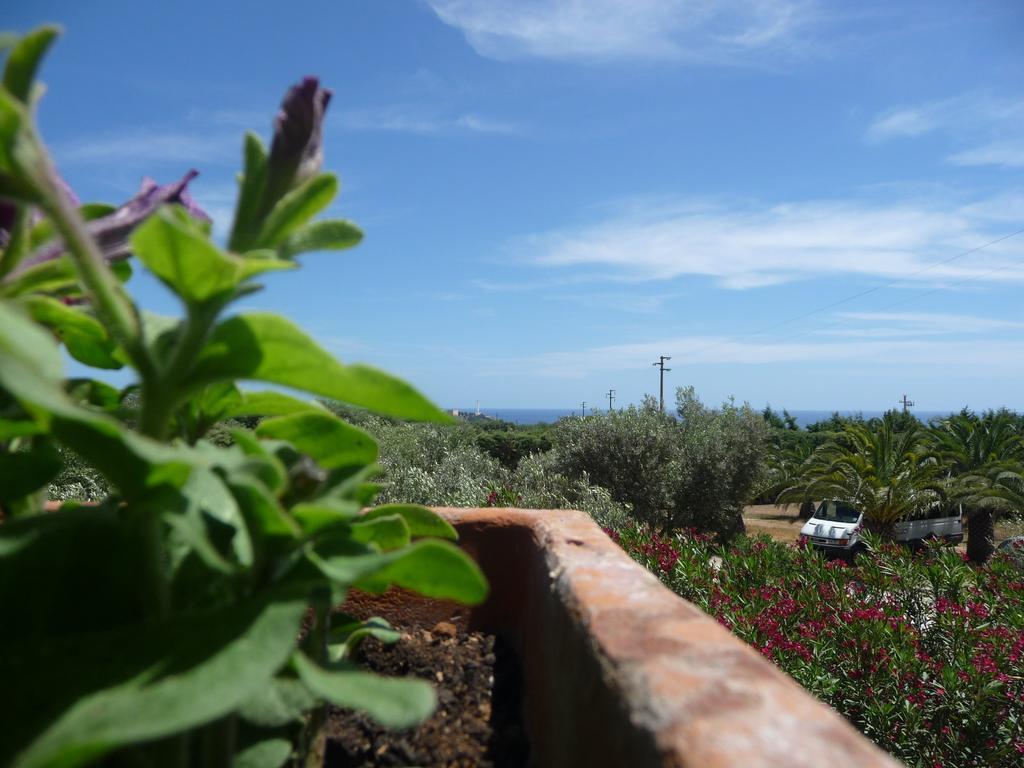 Masseria Serine Santa Maria di Leuca Exteriér fotografie